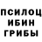 Галлюциногенные грибы мухоморы Klaus Hilse