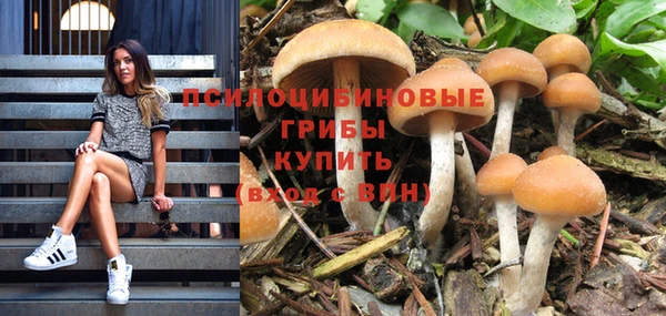твердый Балахна