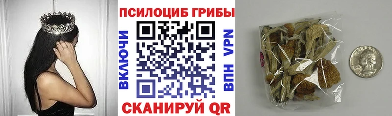 блэк спрут ССЫЛКА  наркотики  Бор  Галлюциногенные грибы Psilocybine cubensis 
